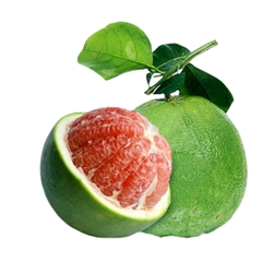Bưởi da xanh đặc sản bến tre
