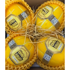 Dưa Vàng Hàn Quốc Premium Umo Fruit