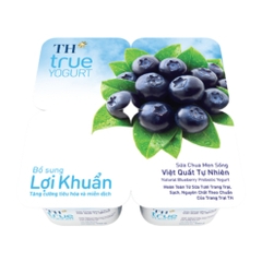 Sữa chua TH True Yogurt Viêt Quất - Hộp 100g