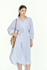 Mason Shirt Dress