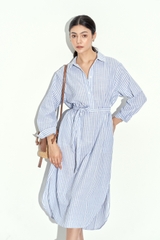 Mason Shirt Dress