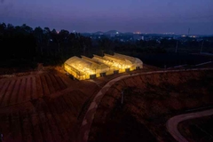 Sản phẩm 2