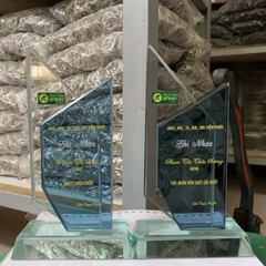 Kỷ niệm chương thủy tinh ngũ giác 25cm