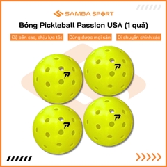 Bóng Pickleball Passion