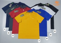 Áo cổ tròn nam Icado AT35