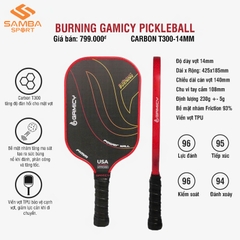 Vợt Pickleball Gamicy Burning T300