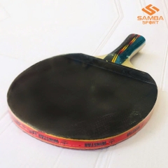 Vợt bóng bàn Winstar 2 sao
