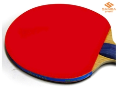 Vợt bóng bàn Double Fish 5A+C