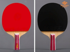 Vợt bóng bàn Double Fish 2A+C