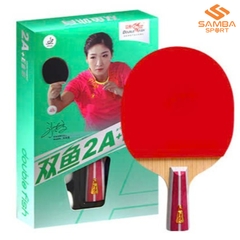 Vợt bóng bàn Double Fish 2A+C