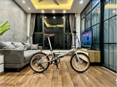 Xe đạp gấp Fnhon Monsoon 20' phanh đĩa màu Silver