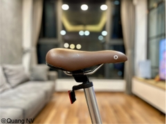 Xe đạp gấp Dahon Boardwalk D7 Hac072 (Model cũ đã dừng sản xuất)