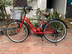 Xe đạp Mini Nhật Bãi