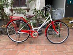 Xe đạp Mini Nhật bãi