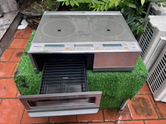 Bếp Từ Dương KZ-KM22D Nội Địa Nhật
