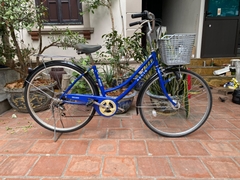Xe đạp Mini Nhật bãi