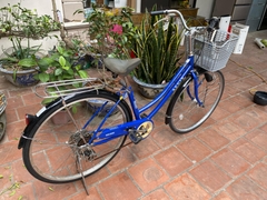 Xe đạp Mini Nhật bãi