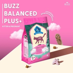 Thức Ăn Hạt Cho Mèo Buzz Advanced Nutrition (Kitten & Pregnant) – Dòng Premium Cao Cấp