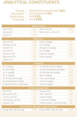 RC - British Shorthair - Dành cho mèo Anh lông ngắn