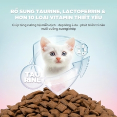 Thức ăn hạt cho mèo con Churro C90K - PetQ