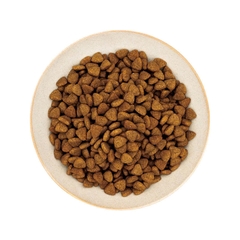 Thức ăn hạt cho chó trưởng thành giống lớn - HealthyChoice - Doggyman