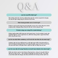 Thức ăn hạt cho mèo Macaron D10 PetQ