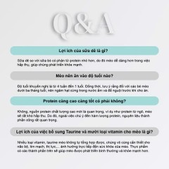 Thức ăn hạt cho mèo con Macaron D5 - PetQ