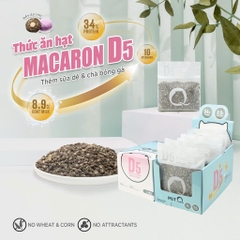 Thức ăn hạt cho mèo con Macaron D5 - PetQ
