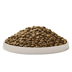 Thức ăn hạt cho chó giống nhỏ - SMH Gold Small breed