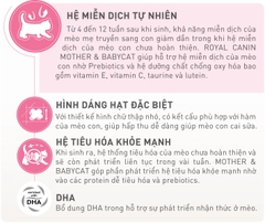 RC - Mother and Baby Cat - Dành cho mèo mẹ mang thai hoặc cho con bú và mèo con từ 1 - 4 tháng