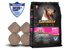 Hạt Chó Ganador - Premium - Adult - Cá hồi và gạo - 400g