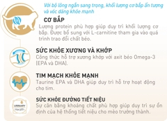 RC - British Shorthair - Dành cho mèo Anh lông ngắn