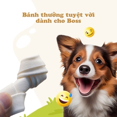 Xương da bò tự nhiên 5 cây