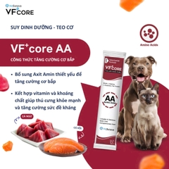 Súp thưởng VF Core AA