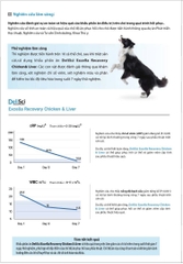 Pate dinh dưỡng Delisci Exella - Hỗ trợ phục hồi - 80g