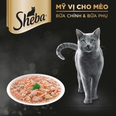 Pate cho mèo Sheba 70g