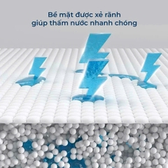 Tấm lót vệ sinh thú cưng Standard - HonneyCare