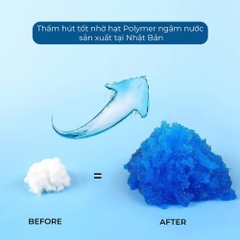 Tấm lót vệ sinh thú cưng Standard - HonneyCare