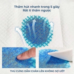 Tấm lót vệ sinh thú cưng Standard - HonneyCare