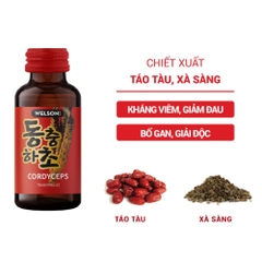 Combo 10 Chai Welson Nước Uống Đông Trùng Hạ Thảo Cordyceps 75ml