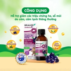 Brauer Siro Black ElderBerry Cold And Flu Forte Giảm Triệu Chứng Ho, Sổ Mũi Do Cảm 100ml