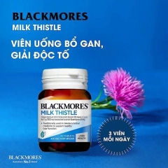 Blackmores Viên Uống Bổ Gan Chiết Xuất Từ Cây Kế Sữa Milk Thistle 42 Viên