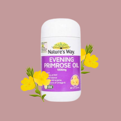 Nature's Way Viên Uống Hoa Anh Thảo Evening Primrose Oil 1000mg 60 Viên
