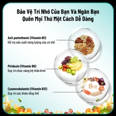 Nutrition29 N29 Uống Hỗ Trợ Trí Nhớ Tăng Cường Lưu Thông Máu Huyết Ultra Ginkgo 60 Viên