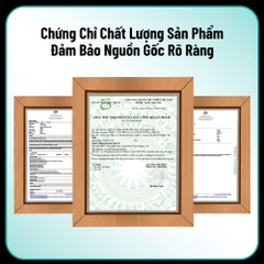 Nutrition29 N29 Uống Hỗ Trợ Trí Nhớ Tăng Cường Lưu Thông Máu Huyết Ultra Ginkgo 60 Viên