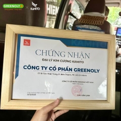 Kamito Vợt Pickleball Alpha-X Màu Xanh Ngọc - Hồng