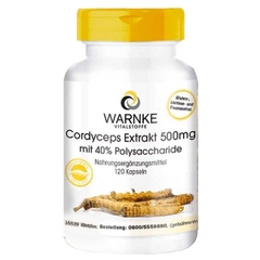 Warnke Viên Uống Đông Trùng Hạ Thảo Cordyceps Extrakt 500mg 120 Viên