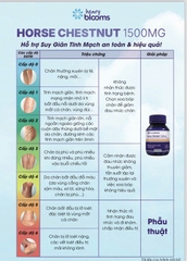 Henry Blooms Viên Uống Hỗ Trợ Giảm Giãn Tĩnh Mạch Hạt Dẻ Ngựa Horse Chestnut 1500mg 30 Viên