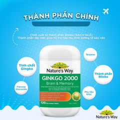 Nature's Way Viên Uống Bổ Não Ginkgo Biloba 2000mg 120 Viên