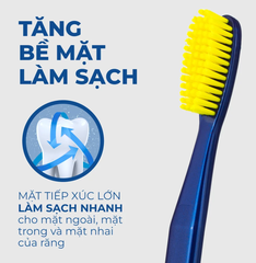 President Bàn Chải Xanh Biển Sensitive Lông Mềm Dành Cho Răng Và Nướu Nhạy Cảm 5 MIL